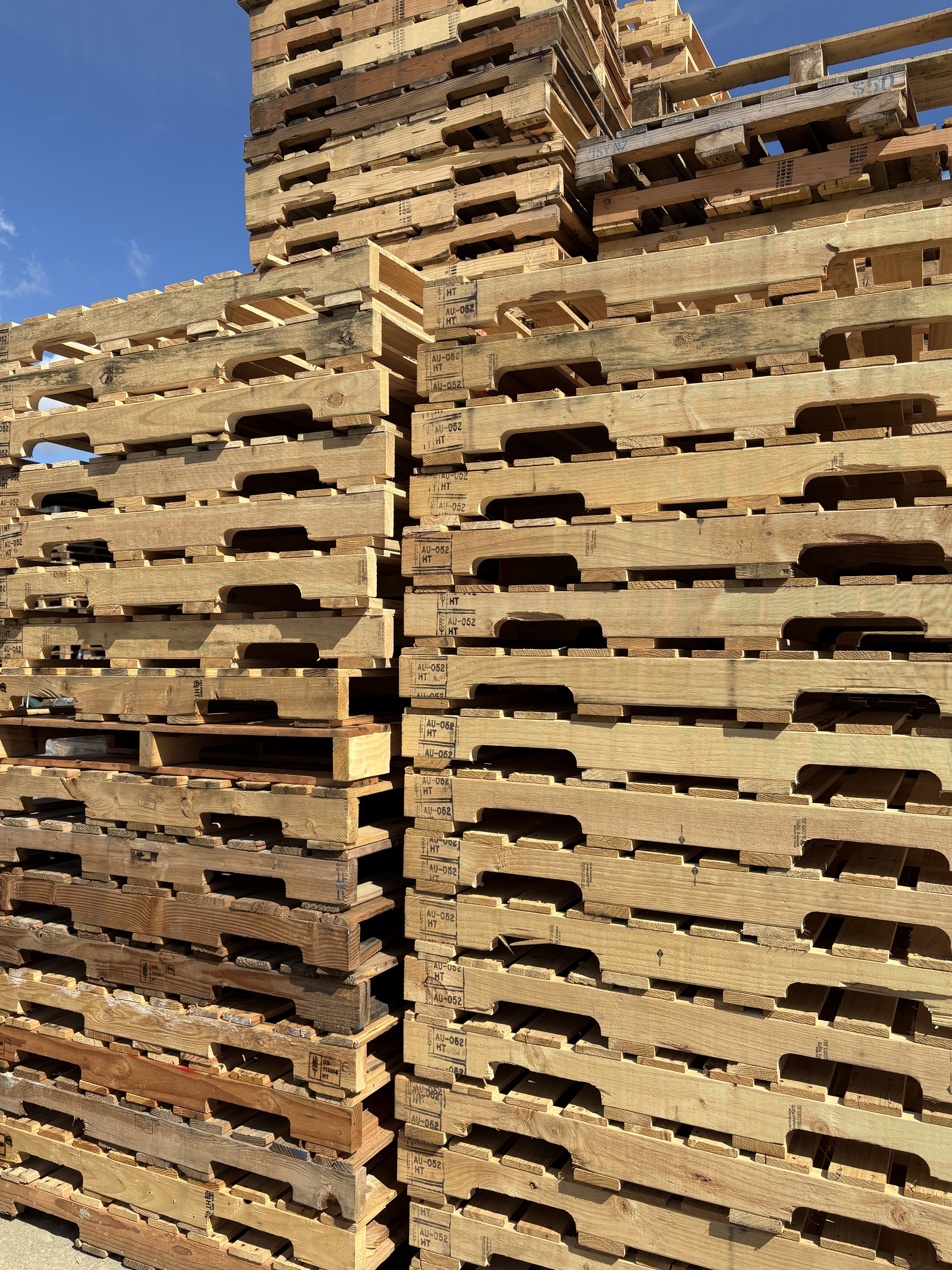 a photo of a stack of bannana pallets